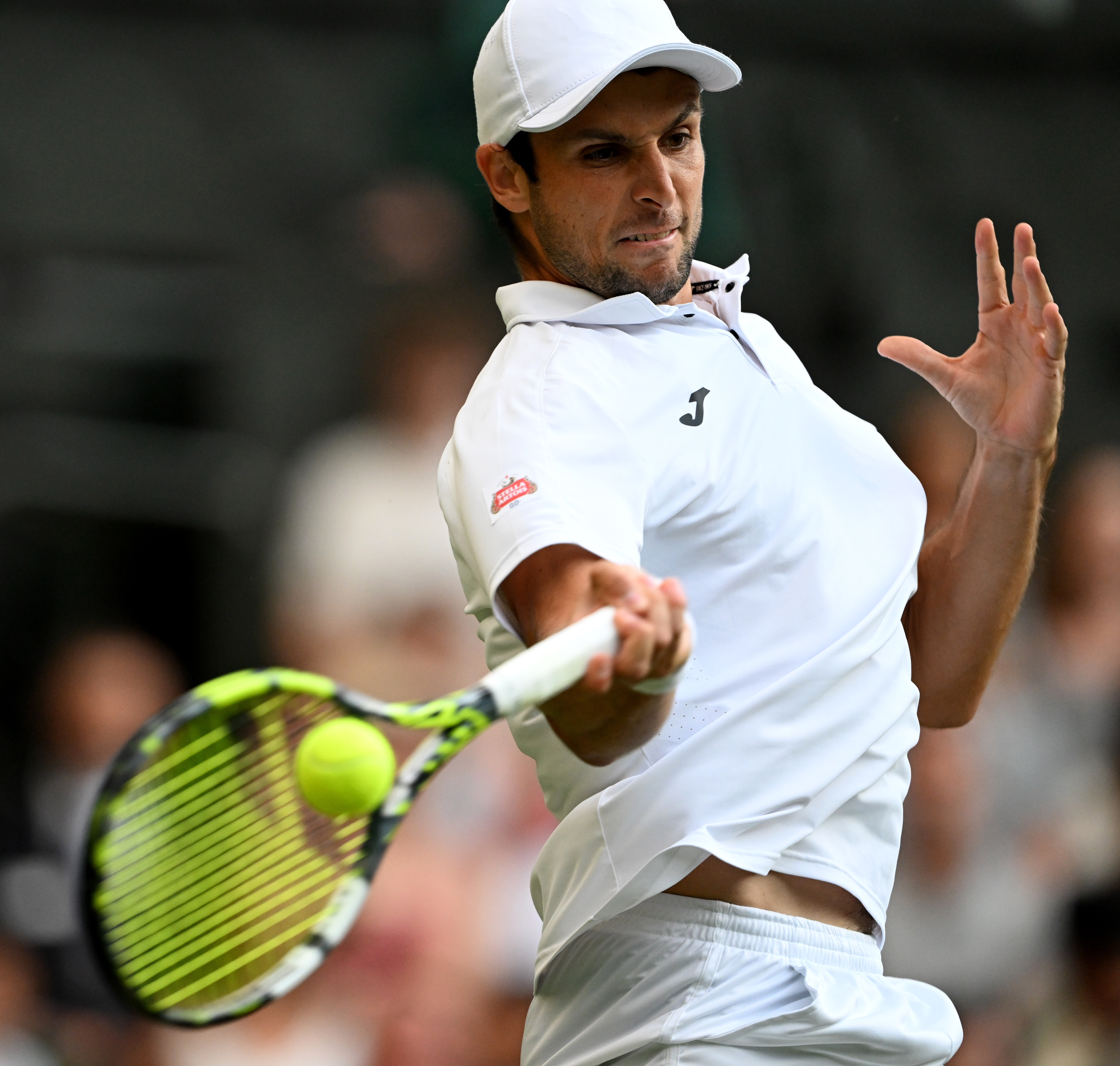 温网鏖战年终总决赛，辛纳状态火热