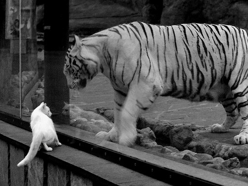 奥恰洛夫狂飙点燃赛场，德国队完胜瑞典队展王者风范
