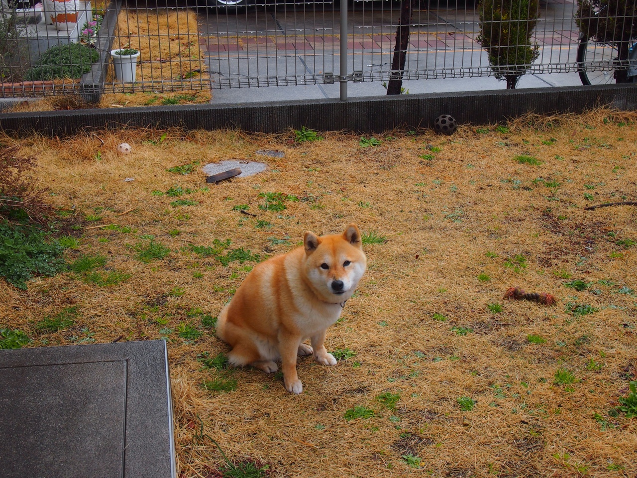 内马尔的魔法，当葡萄牙技术流吞下德国战车