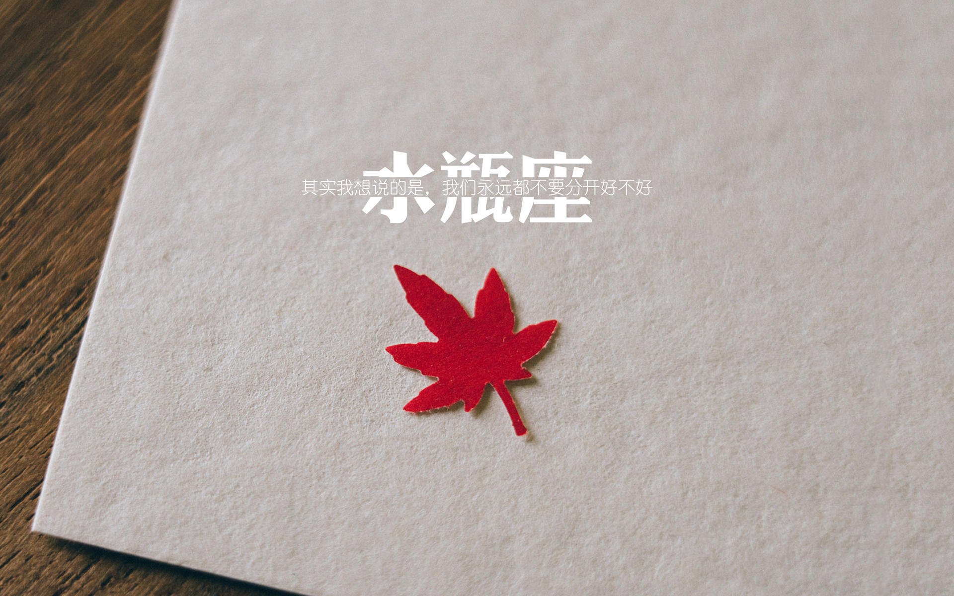 双星映照，国家德比的硝烟如何塑造了塞内加尔的屠龙刀？