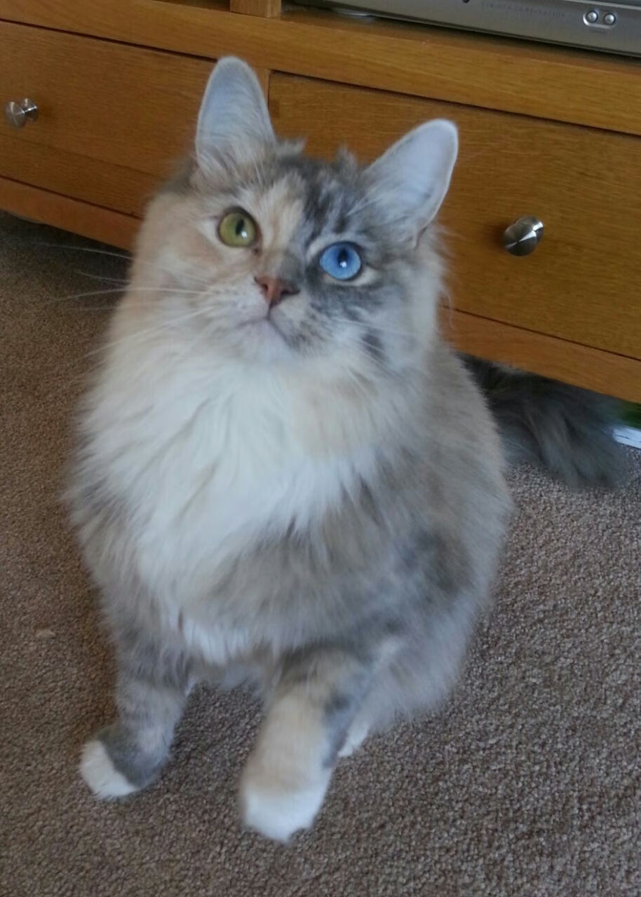 马克西用冰与火的节奏，让鹈鹕沉没在快船的航道—个人节拍器如何调校了一场团队溃败？