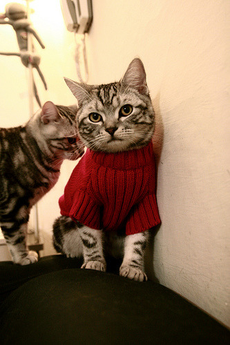 末节狂飙19分！哈利伯顿导演窒息反扑，吉林上演20分惊天逆转