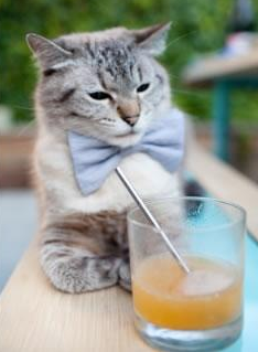 姆巴佩爆发与几内亚的节奏魔法，足球场上的掌控艺术