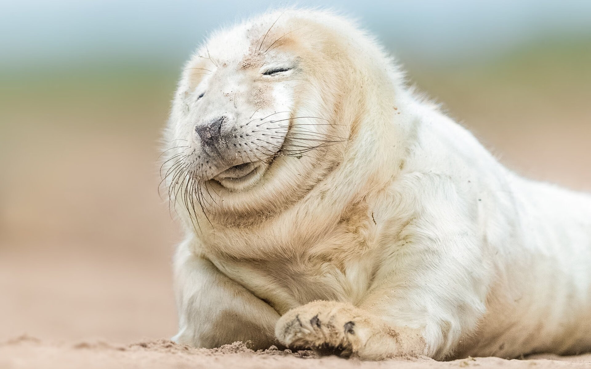 三分钟风暴，当爱德华兹为热火按下加速键