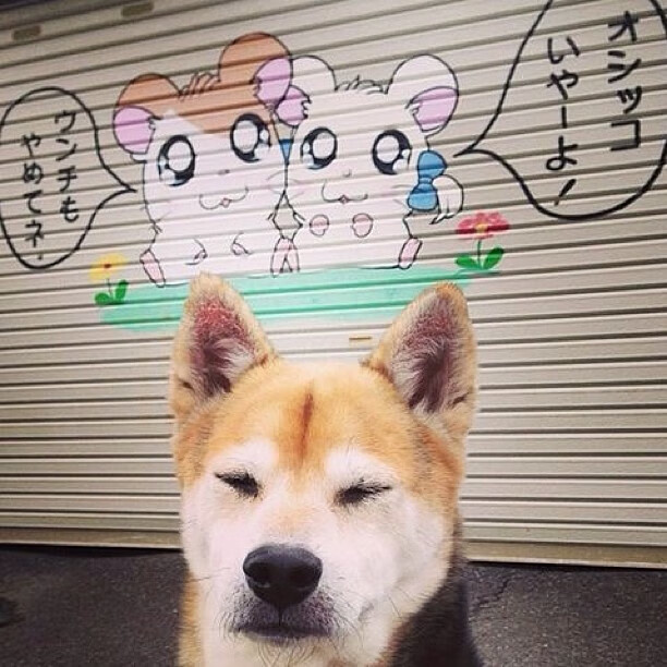 爱游戏在线-风城之子的逆袭，拉文如何引爆费城风暴掀翻雷霆