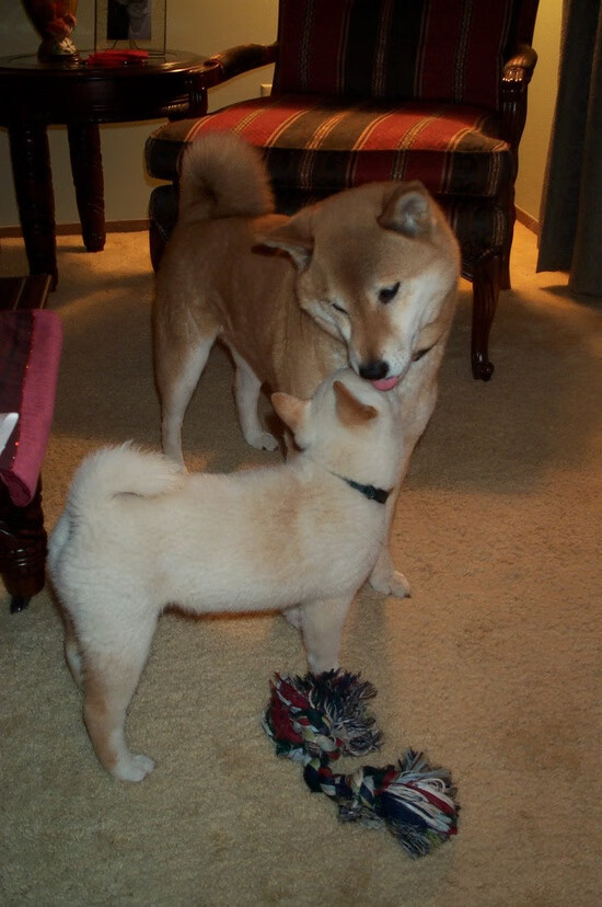 虚拟时空战记，当希腊英雄在绿茵场上对决牙买加雷鬼，卡马文加是那个拨动命运琴弦的人