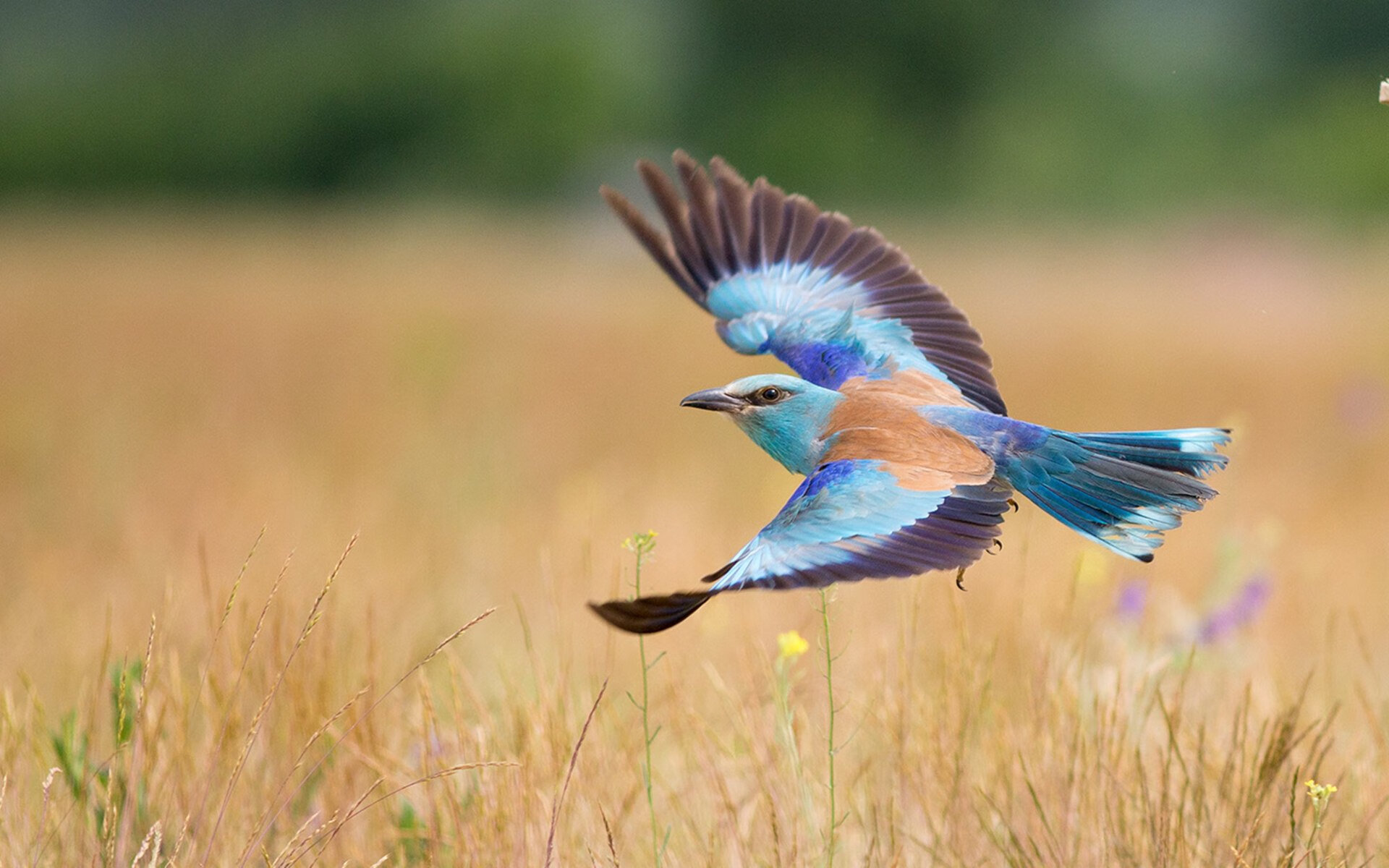 火龙卷袭破天山防线，爱德华兹47分全程高能，浙江主场力克新疆