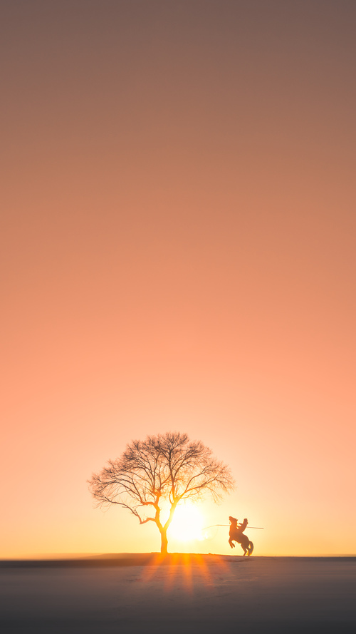 误读的力量，当山西汾酒遇见国王，爱德华兹在平行宇宙的节奏革命