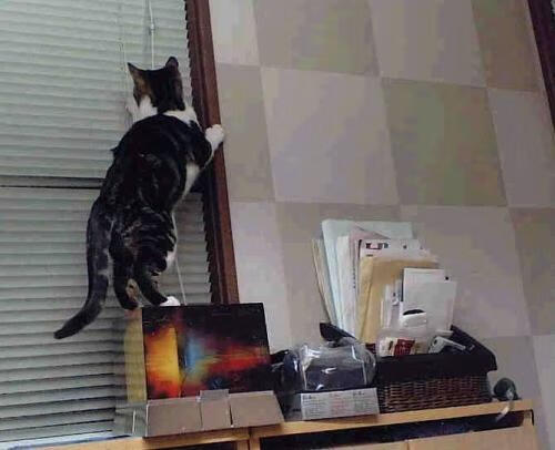 绝境之下，孔德以冷静为法国筑起不朽金杯