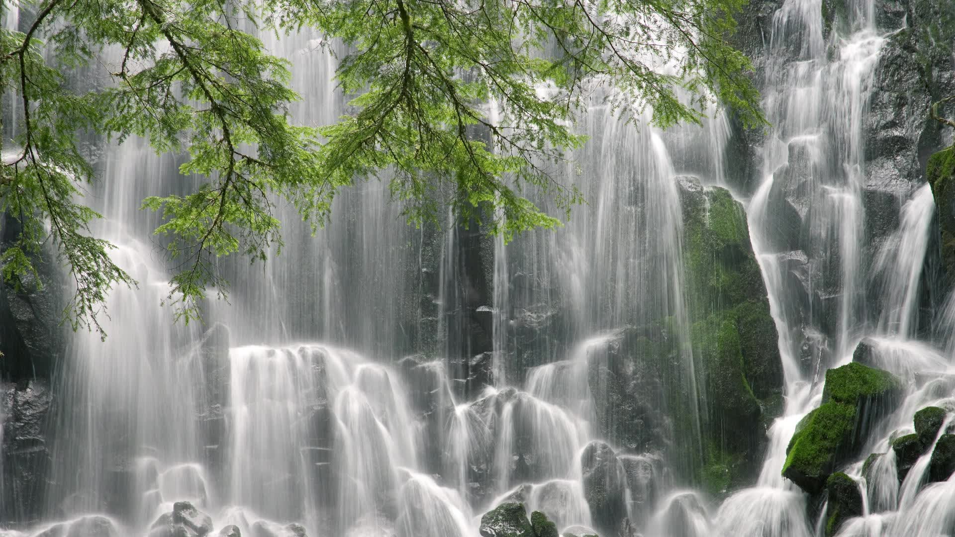 铁血雄狮震欧陆,喀麦隆凭硬汉巴雷拉击溃匈牙利,2026世界杯C组写下最热血剧本